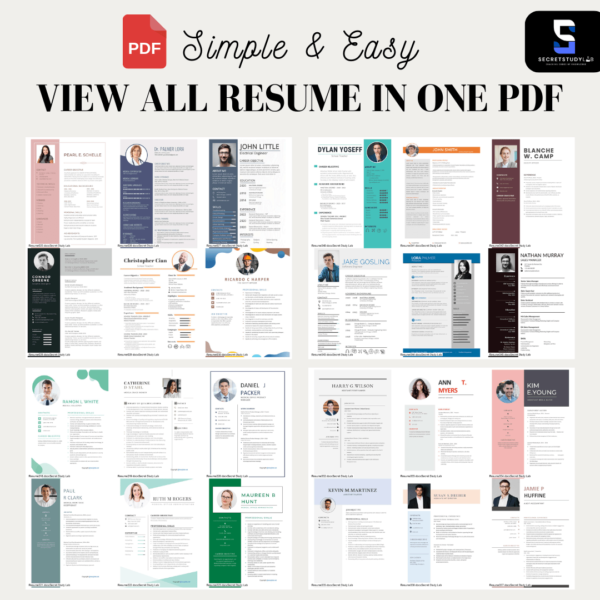 Resume CV Templates | 600 SETS - Image 2